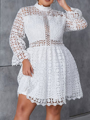  Lace Long Sleeve High Neck Dress