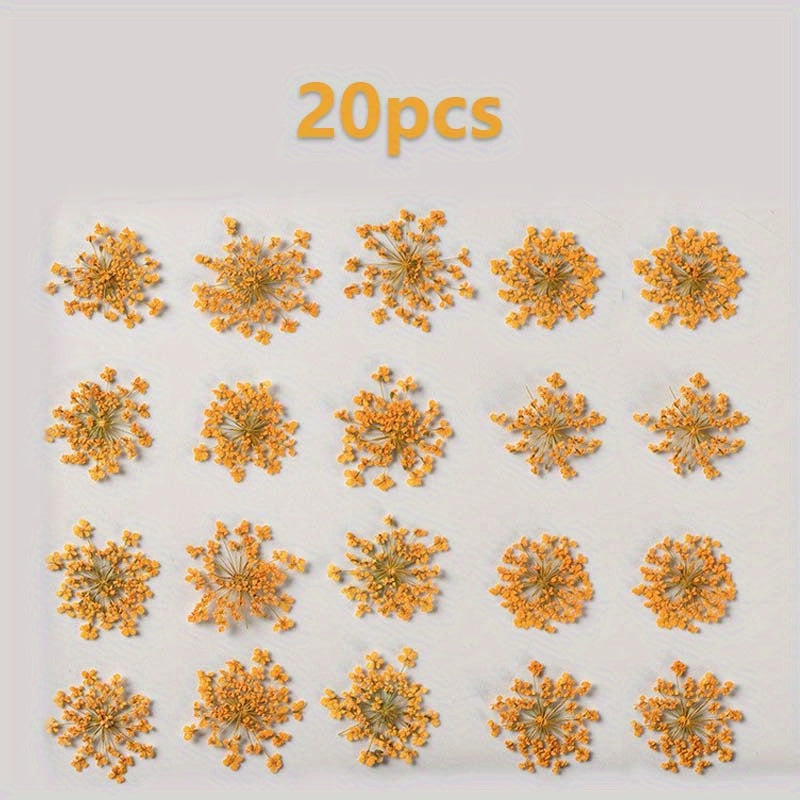 20pcs Natural Snowflake Dry Flower Embossing DIY Decorations