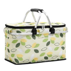 Insulated Picnic Basket for Cold Storage and Picnics