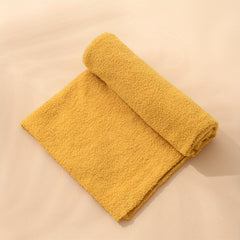 Little Teddy Curly Fleece Soft Plush Toy Sofa Cushion Table Pet Supplies