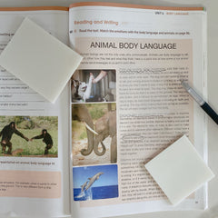 6pcs Clear Sticky Notes Waterproof Self-adhesive See-through Sticky