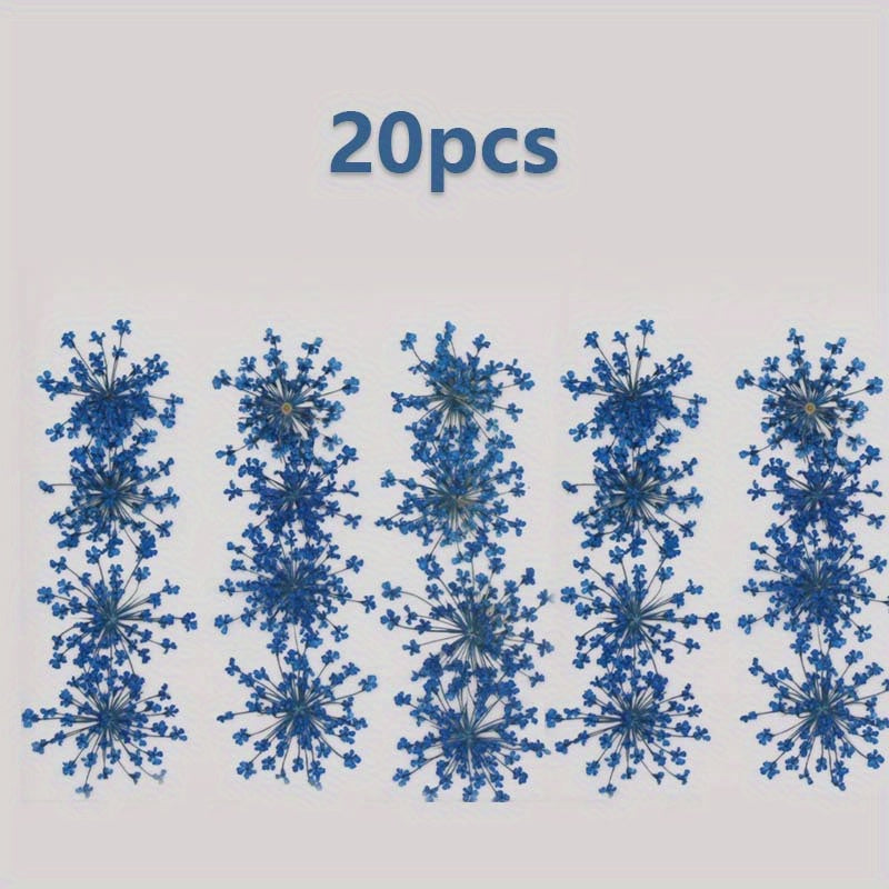 20pcs Natural Snowflake Dry Flower Embossing DIY Decorations
