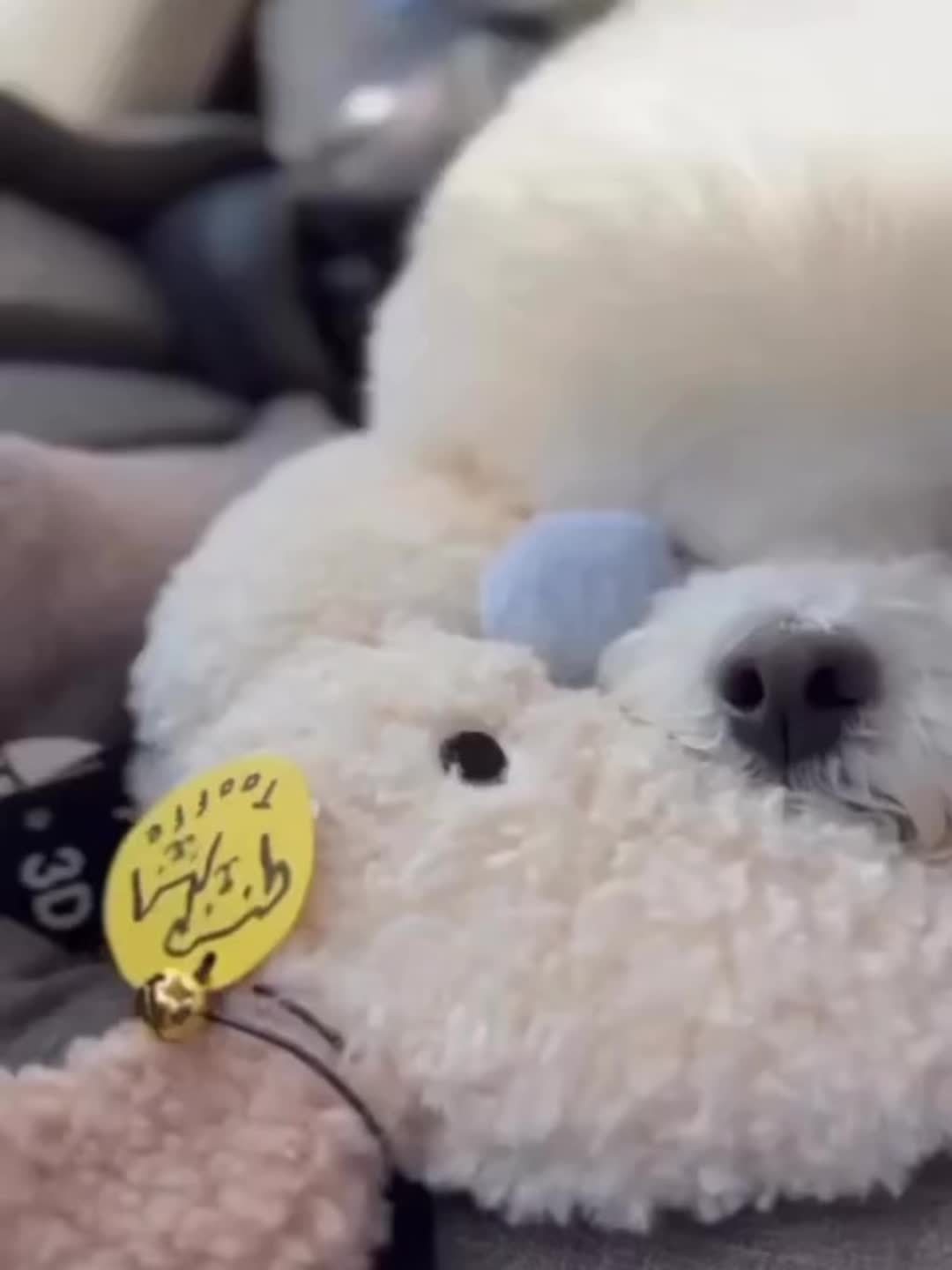 Arch Shaped Plush Dog Pillow for Cervical Spine Protection
