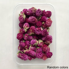 Real Dried Flower Resin Mold Fillings UV Epoxy Jewelry Craft DIY Supplies
