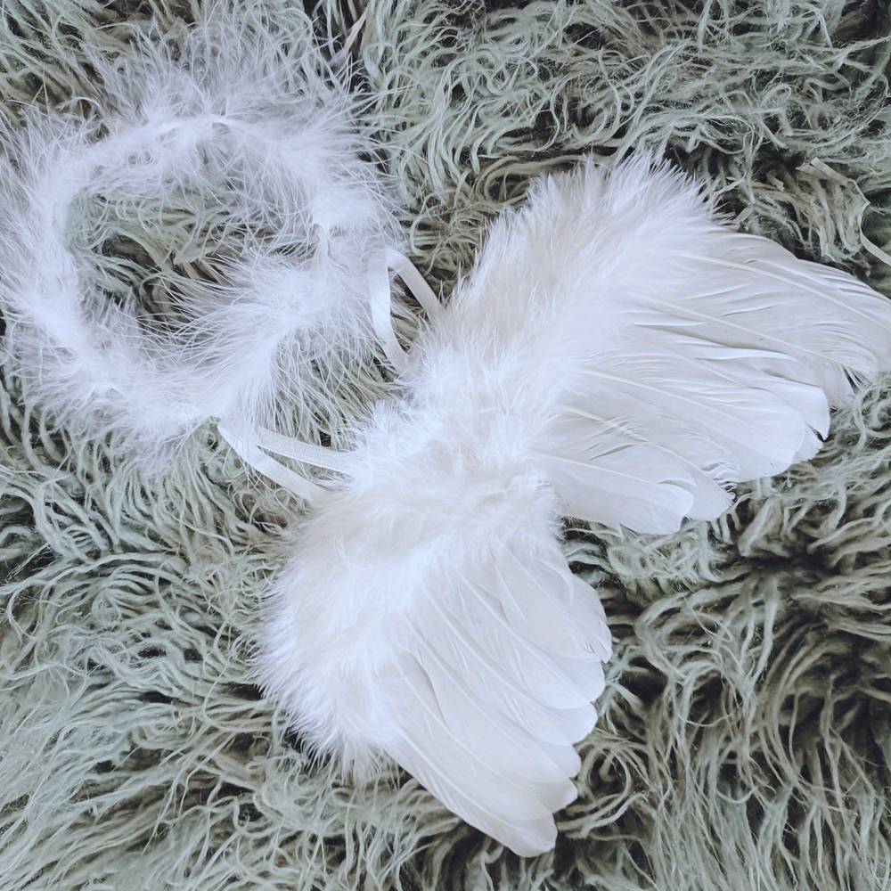 Baby Angel Hair Ring Feather Wings Photo Set