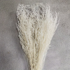 Sea Lavender Stems Fresh Real Flowers Wedding Home Decor Valentine Gift