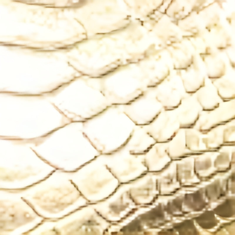 Dollar Label Snapback Hat Golden Crocodile Baseball Cap