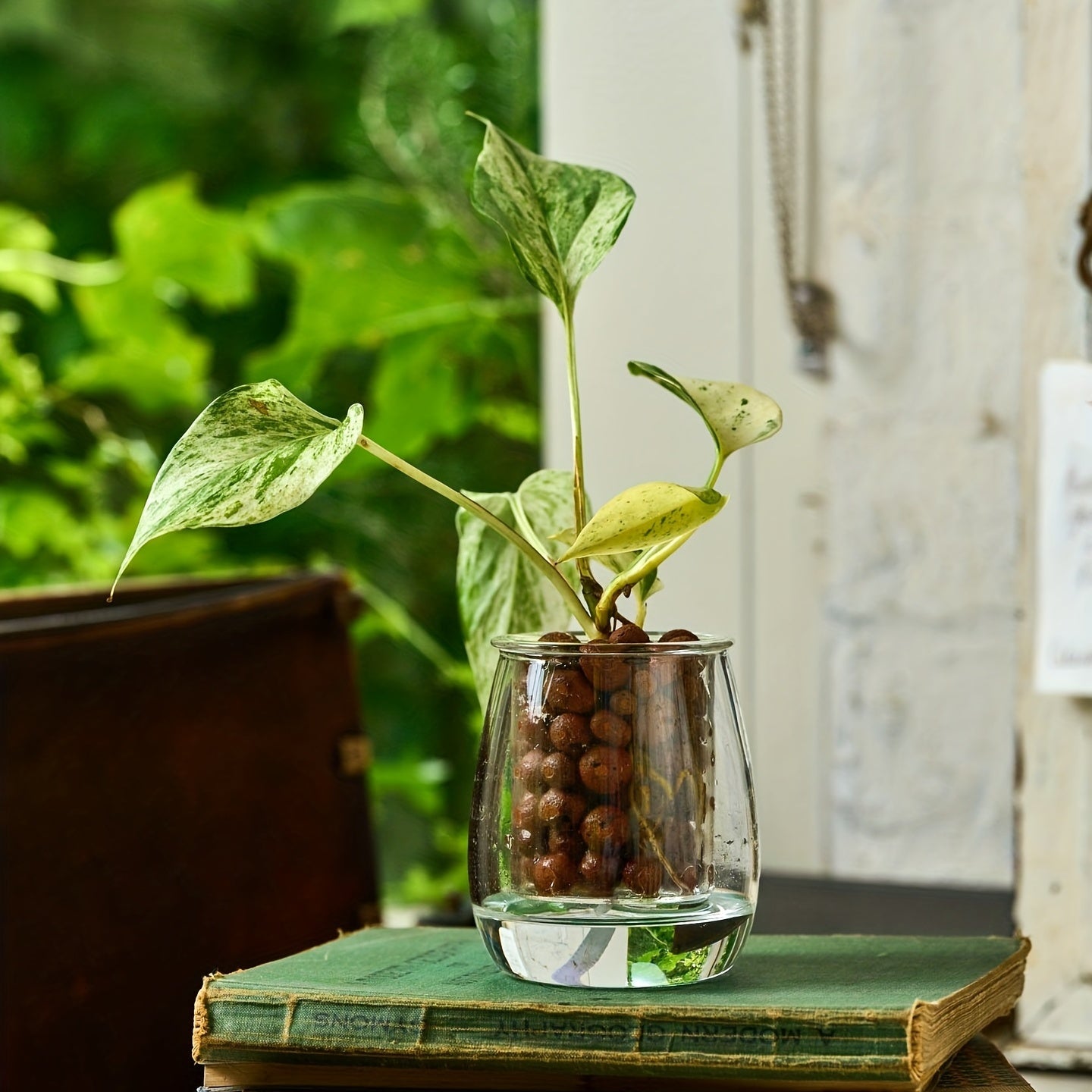 Natural Clay Pebbles Plant Grow Media Hydroponics Orchids Aquaponics