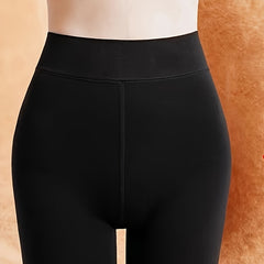 2 Pair Plush Lined Tights High Waist Thermal Leggings Women's Stockings