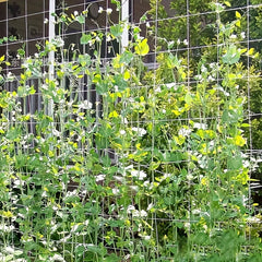 Net Climbing Plant Holder 15ft DIY Garden Supplies for Balcony Gardening