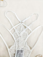  Lace Cut Out Sheer Panty