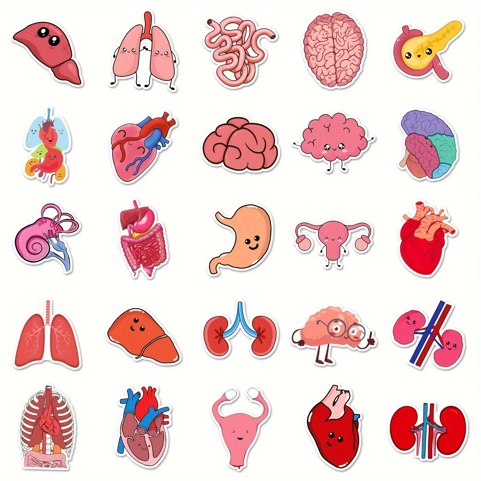 50pcs Human Biology Stickers Waterproof Scrapbook Laptop Skateboard