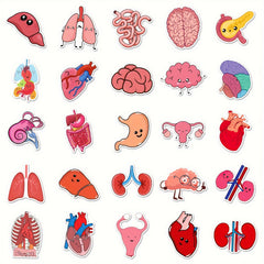 50pcs Human Biology Stickers Waterproof Scrapbook Laptop Skateboard