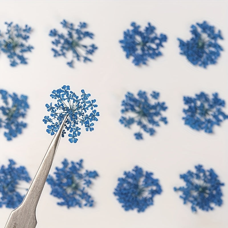 20pcs Natural Snowflake Dry Flower Embossing DIY Decorations