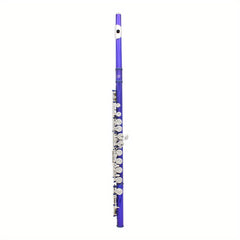 16 Hole Nickel Plated Flute C Blending with Cleaning Kit