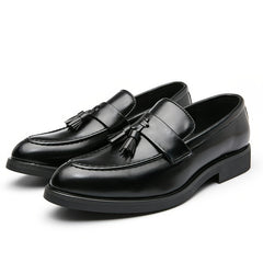Men's Pointed Toe Tassel Loafer Shoes Slip On Dress Shoes