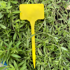 20pcs Gardening Labels T Shaped Waterproof Plastic Plant Tag Seed Marker