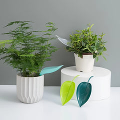 6pcs Indoor Plant Watering Funnel Devices for House Plants