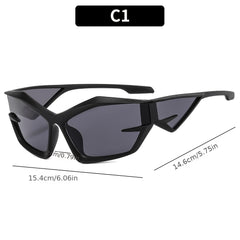Cyberpunk Y2K Sunglasses Thick Frame Hip Hop Shades