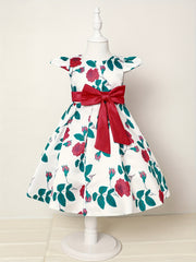 Floral Print Bowknot Short Sleeve Princess Dress
