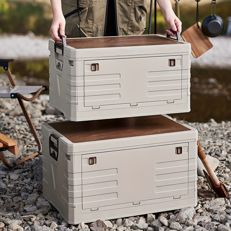 Foldable Storage Box w/ Lids & Handle for Shoes, Books, Toys - Closet Organizer