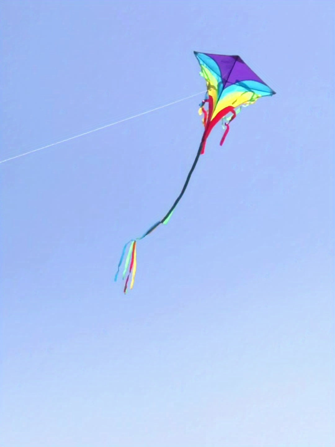Rainbow Diamond Kite with Long Tails D handle 30m Flying Strings