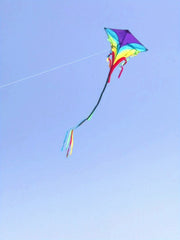 Rainbow Diamond Kite with Long Tails D handle 30m Flying Strings