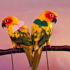 2pcs Parrot Harness and Leash for Training Anti bite Rope