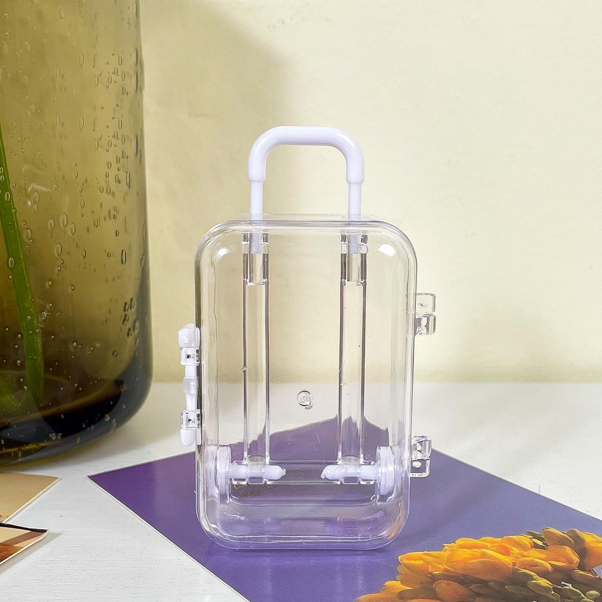 Mini Transparent Storage Bag Travel Jewelry Organizer