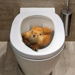 3D Squirrel Toilet Lid Decal Self Adhesive Wall Sticker Bathroom Decor