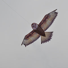 Brown Owl Kite With D handle And Flying Lines