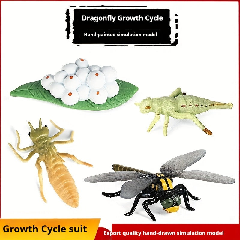 Simulated Insects Dragonflies Growth Cycle Full Set of Models
