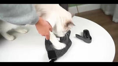 Soft Cat Harness Leash Straps Walking Jacket Set
