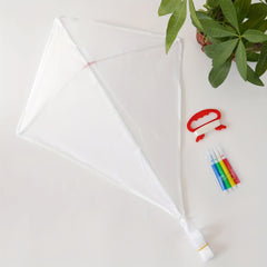 DIY Colored Long Tail Kite Kit