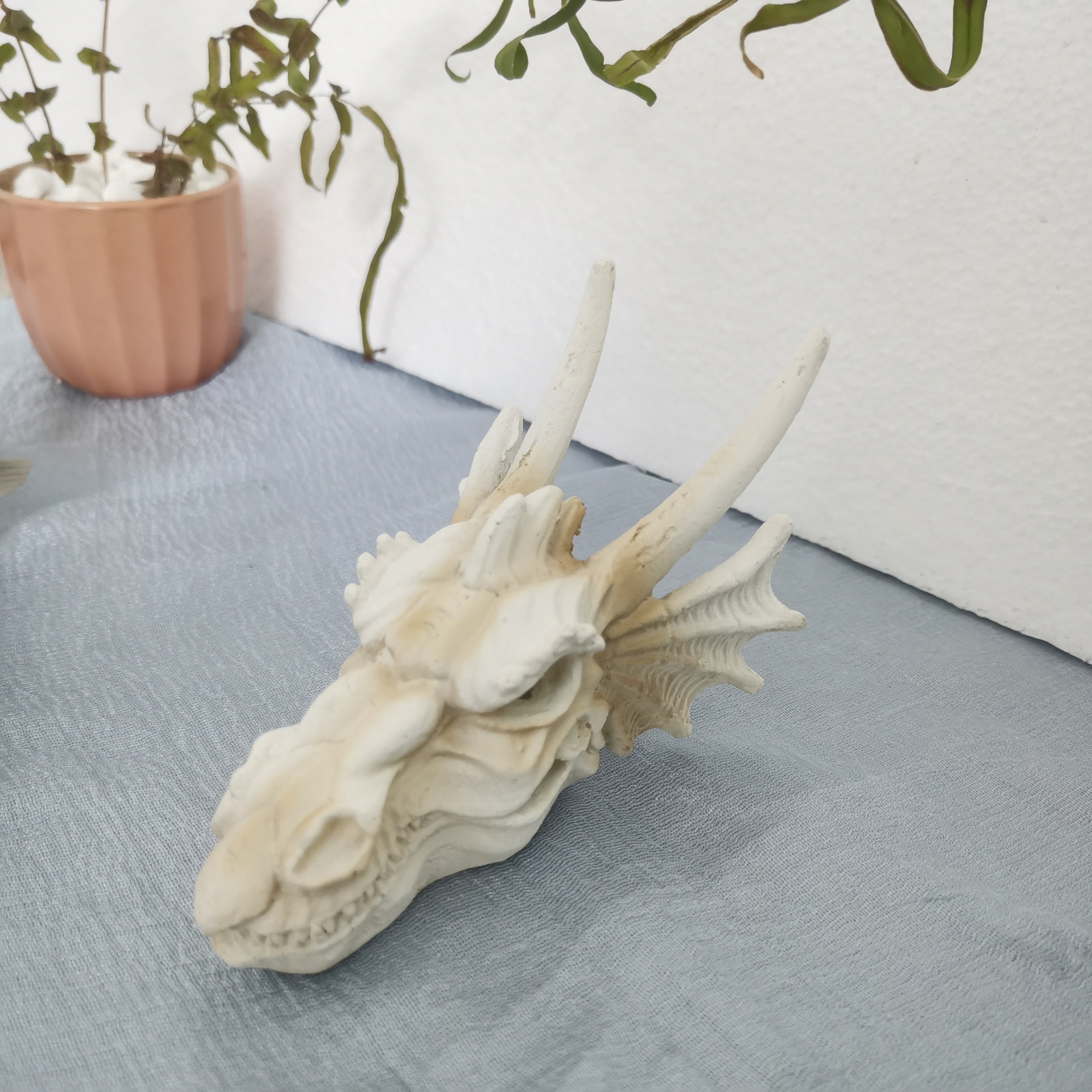 Dinosaur Skull Resin Skeleton Aquarium Decoration Ornaments