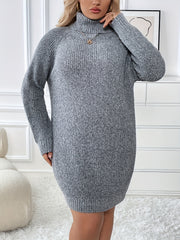  Solid Long Sleeve Turtle Neck Sweater Dress