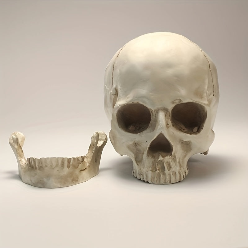 1pc Resin Skull Model Collectible Halloween Ornaments Skull Head