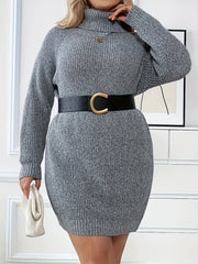  Solid Long Sleeve Turtle Neck Sweater Dress