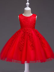 Girls Sleeveless Puffy Princess Dress Flowers Embroidery Tulle Tutu Dress