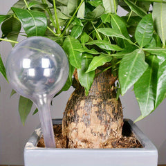 Automatic Watering Device for Vibrant Garden Plants & Flowers