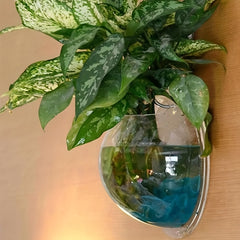 1pc Punching Hydroponics Planter Home Decoration Pot