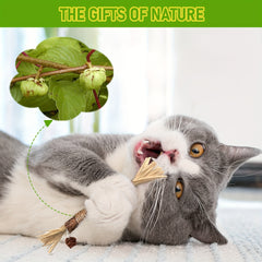 Silvervine Chew Stick Catnip Toy for Teeth Cleaning & Fun