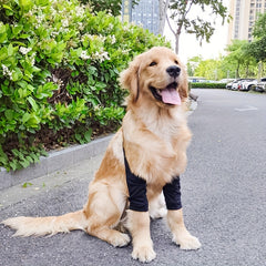 Dog Elbow Coat Anti ash Joint Protective Sleeve Wear Dog Leg Protector Pet Knee