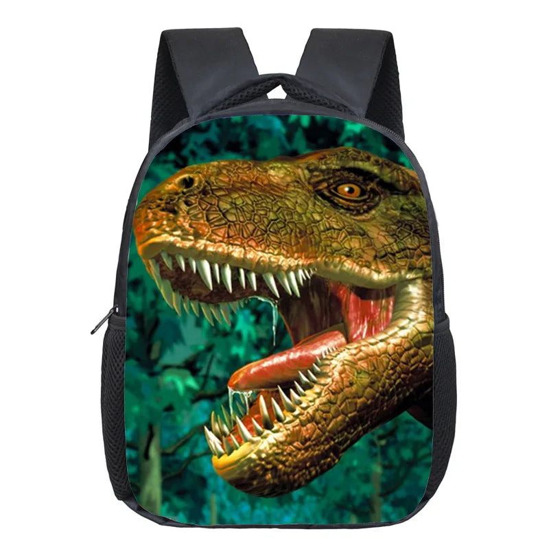 Dinosaur Magic Dragon Backpack Kids Schoolbags Boys Girls School Bags