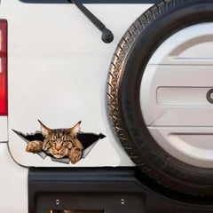 Maine Coon Car Sticker Torn Metal Decal 3D Funny Cat Decal Waterproof