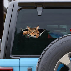 Maine Coon Car Sticker Torn Metal Decal 3D Funny Cat Decal Waterproof
