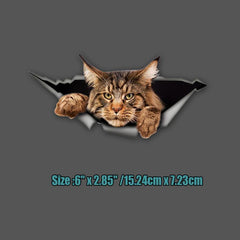 Maine Coon Car Sticker Torn Metal Decal 3D Funny Cat Decal Waterproof
