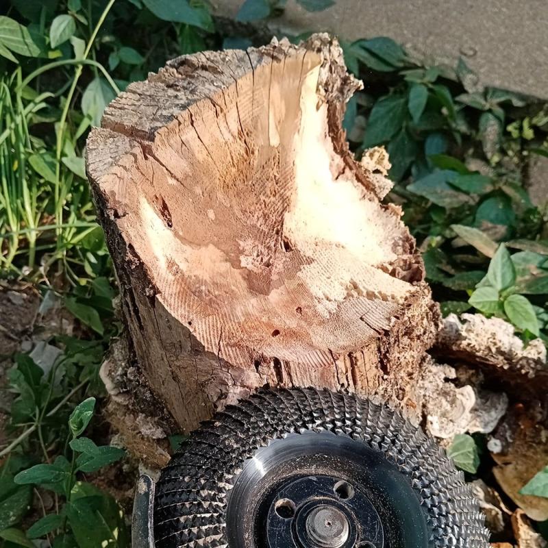 Wood Grinder Wheel Disc 10-16 cm for Woodworking Sanding Carving Shaping