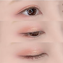 Coral Tone Eyeshadow Palette Matte Shimmer Finish