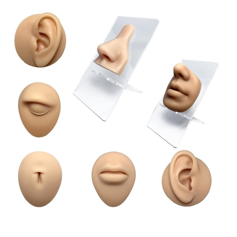 2 pcs 3D Silicone Nose & Ear Model for Piercing Training w/Acrylic Stand